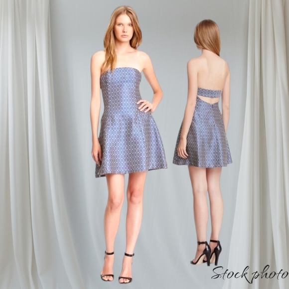 Jill Stuart Dresses & Skirts - Jill Stuart Estela Fit & Flare Dress